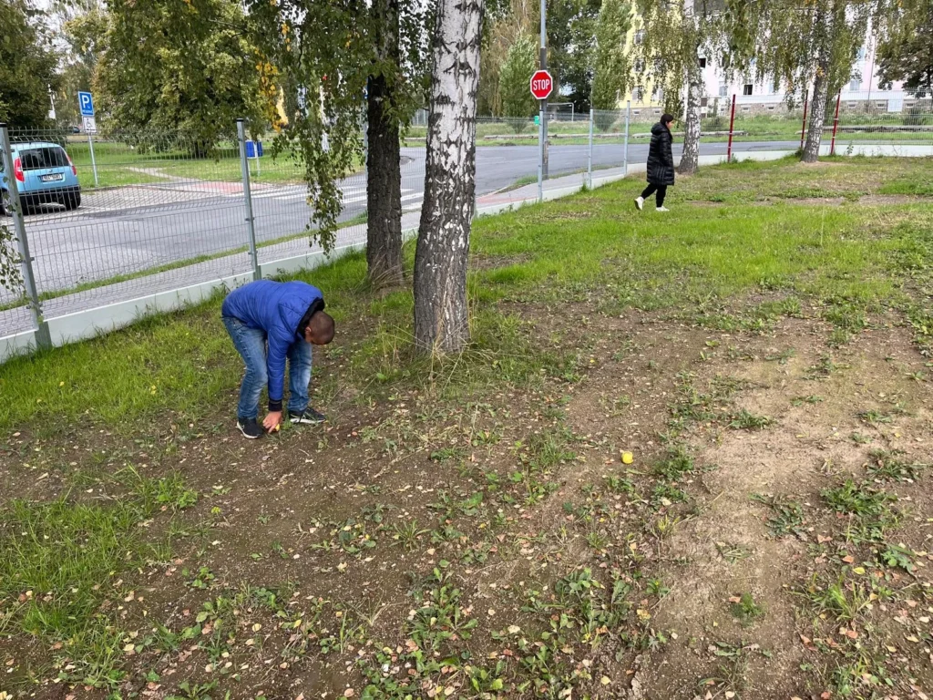 Sedmáci proměnili školní pozemek