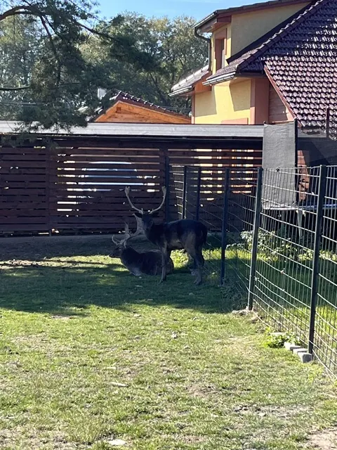 Svačinky pro daňky